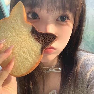 公主日记